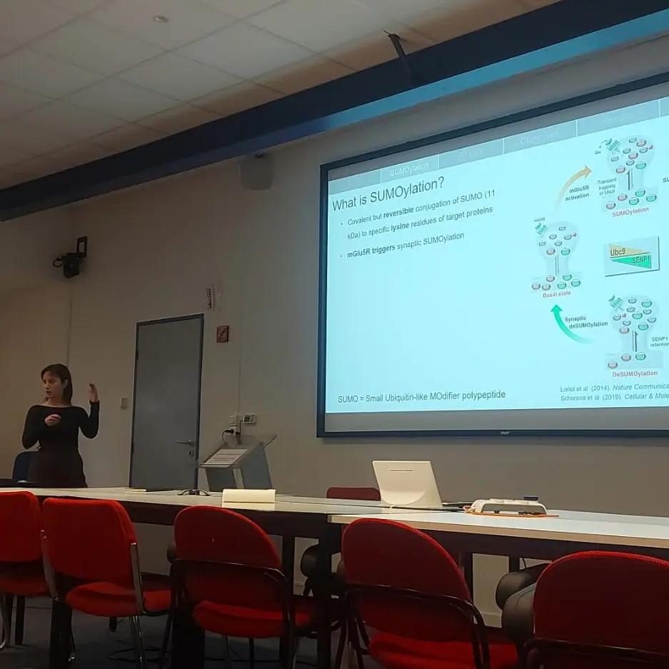 Doctoral and Postdoctoral meetings